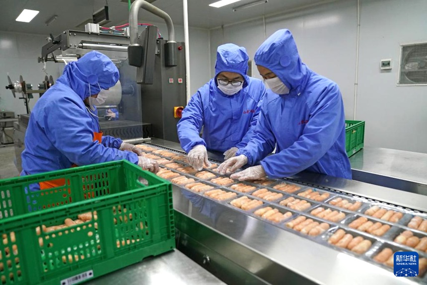 루단 씨가 돼지고기 제품의 생산 상황을 살핀다. [12월 3일 촬영/사진 출처: 신화사]