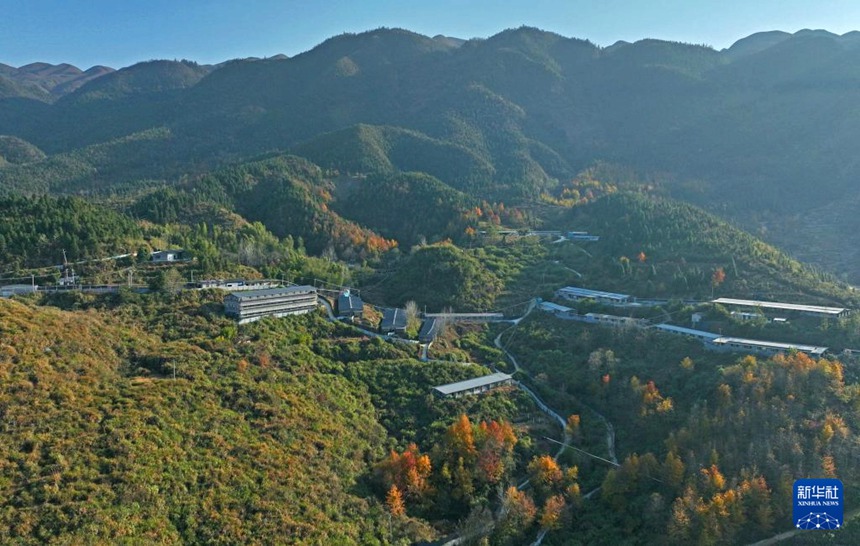 산으로 둘러싸인 무춘 항주생태농장 [12월 3일 드론 촬영/사진 출처: 신화사]