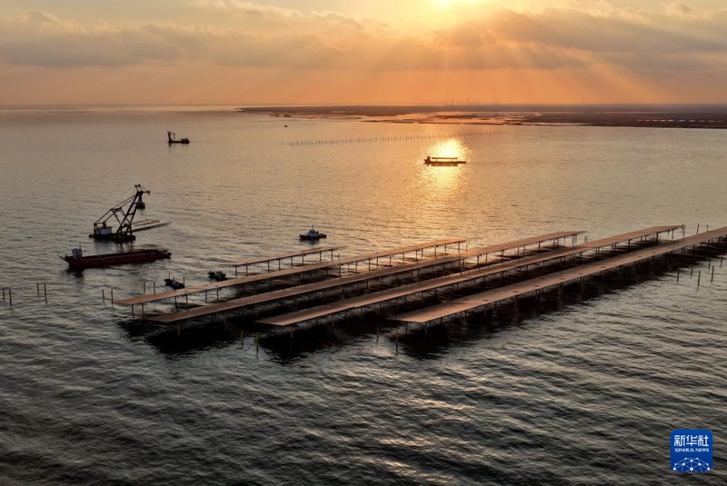 허베이성 창리현 해역 해상 태양광 발전소 시범 프로젝트 건설이 진행 중이다. [12월 24일 드론 촬영/사진 출처: 신화사]