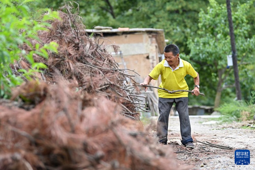 친하이쑹이 마을 주민을 위해 땔감을 준비하고 있다. [2025년 8월 6일 촬영/사진 출처: 신화사]
