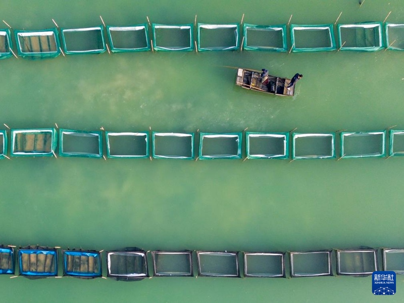 게 양식업자들이 게 양식장에서 작업을 진행하고 있다. [1월 15일 드론 촬영/사진 출처: 신화사]