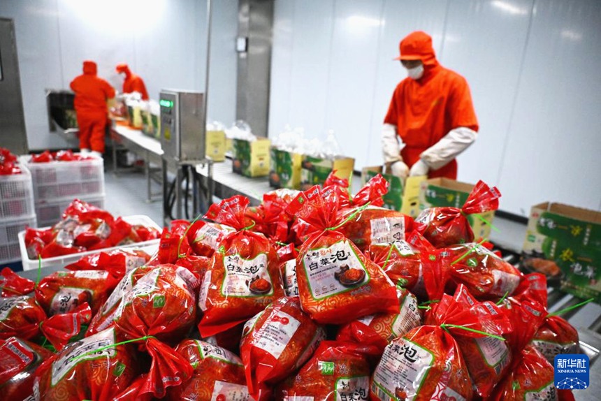 칭다오 눙이식품유한공사 직원들이 한국 시장으로 수출될 김치를 포장하고 있다. [1월 29일 촬영/사진 출처: 신화사]