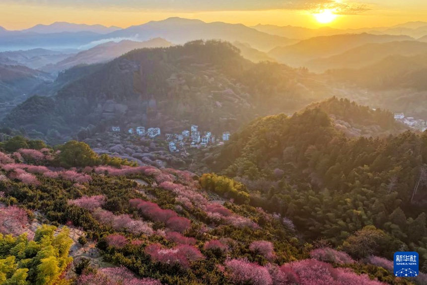 서현 마이화위촌의 풍경 [2월 9일 드론 촬영/사진 촬영: 판청주(樊成柱)]