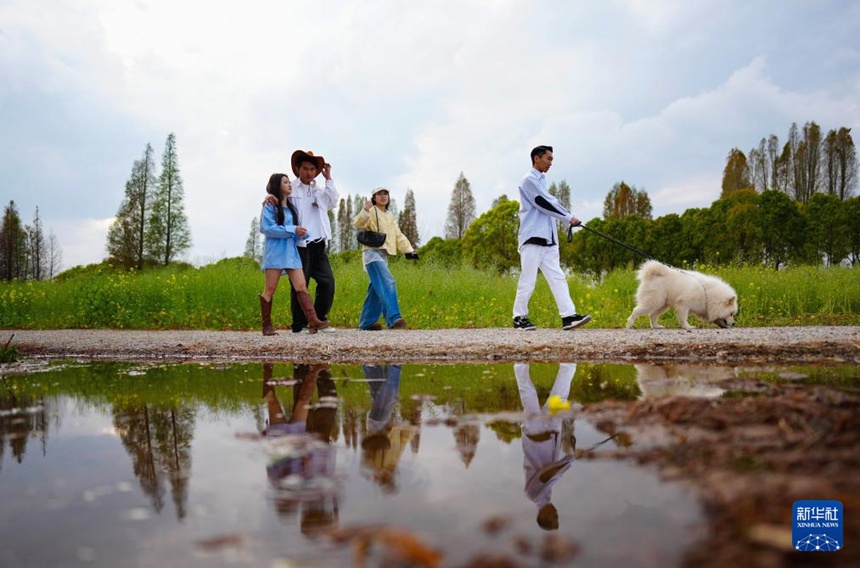 반려견과 함께 뎬츠호 기슭에서 봄나들이를 즐기는 나들이객 [2월 26일 촬영/사진 촬영: 신화사]
