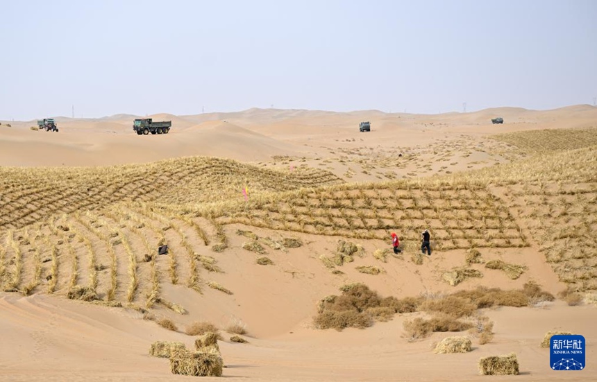 네이멍구 아라산맹, 2026년 사막화 방지관리 사업 착공