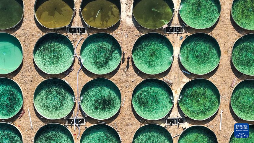 천궁현 담수어업 기지의 양식 현장 [3월 10일 드론 촬영/사진 출처: 신화사]