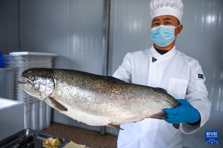 천궁현 담수어업 기지에서 작업자가 연어 한 마리를 들어 선보이고 있다. [3월 10일 촬영/사진 출처: 신화사]