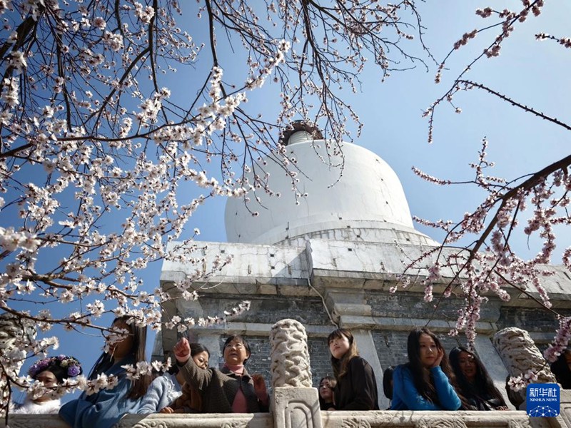관광객들이 베이징 베이하이공원에서 봄나들이를 즐기고 있다. [3월 15일 촬영/사진 출처: 신화사]