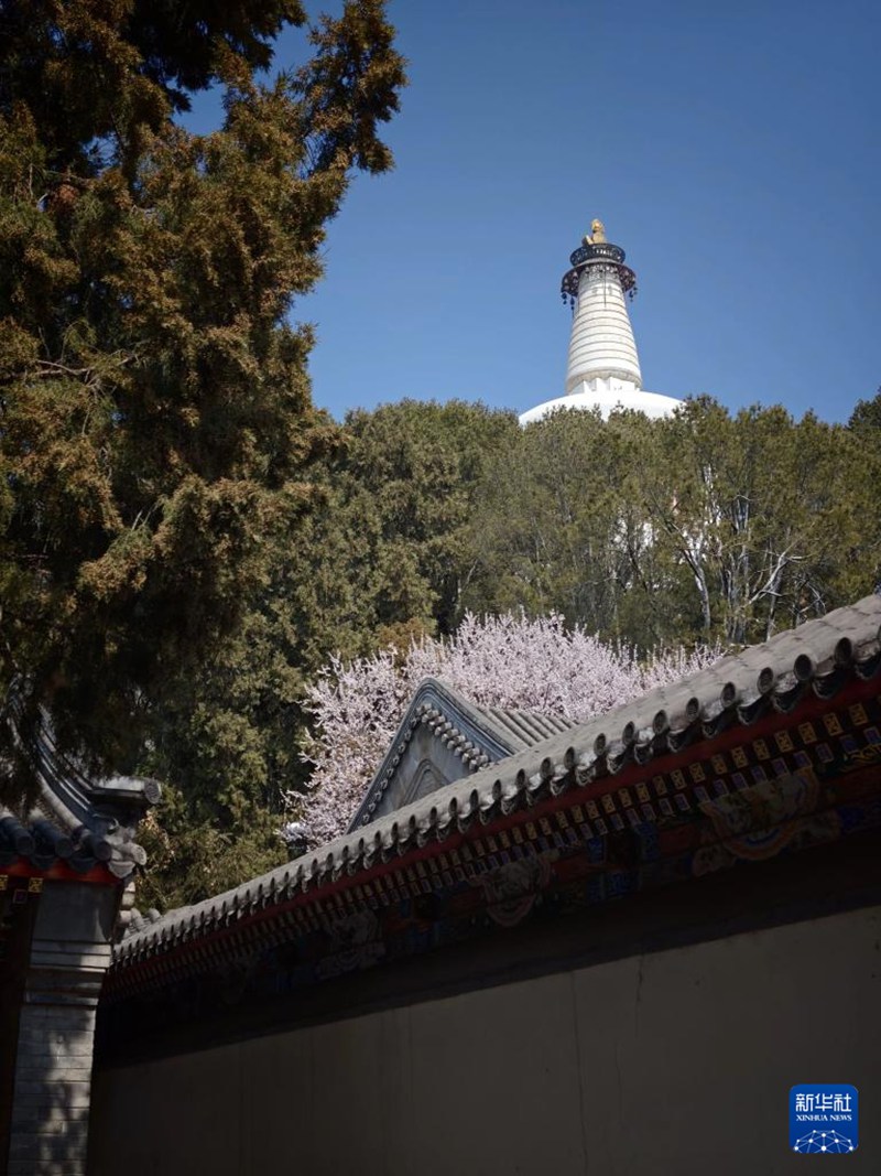 베이징 베이하이공원에서 촬영한 풍경 [3월 15일 촬영/사진 출처: 신화사]