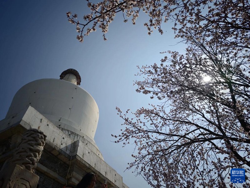 베이징 베이하이공원에서 촬영한 풍경 [3월 15일 촬영/사진 출처: 신화사]