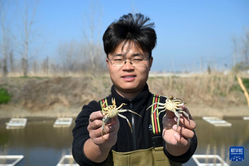 ‘90허우’ 신세대 농부의 수상 춘경 시즌