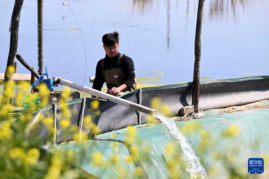 게 양식 기지에서 주차이성이 게 양식장에 물을 채우고 있다. [3월 13일 촬영/사진 출처: 신화사]