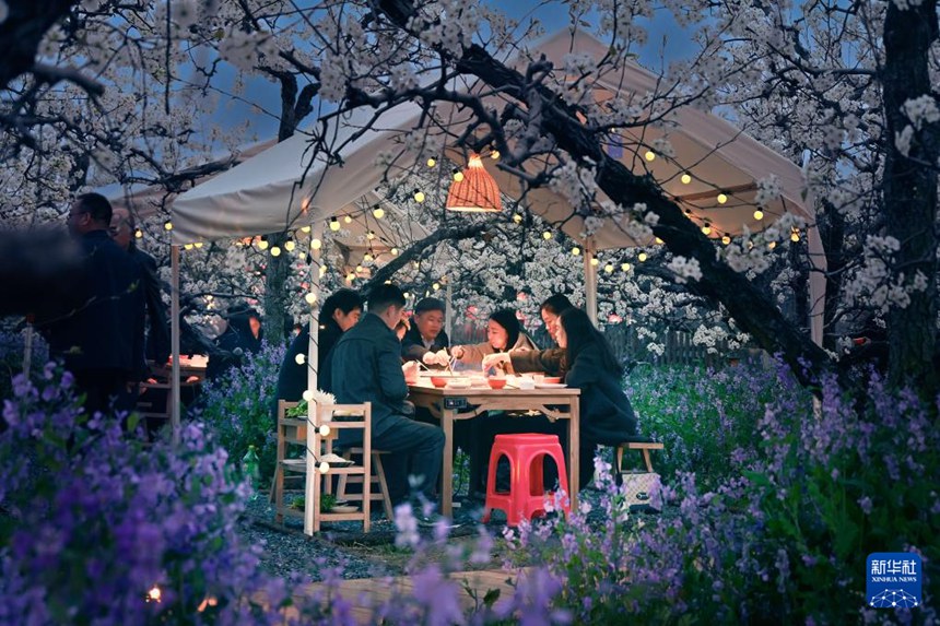 당산현 배 과수원에서 훠궈(火鍋: 중국식 샤브샤브)를 맛보는 관광객들 [사진 촬영: 추이멍(崔猛)]