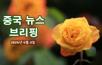 [중국 뉴스 브리핑] 2026년 6월 8일