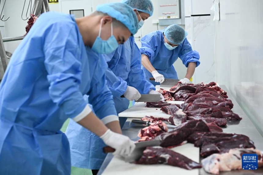 차오저우시에 위치한 광둥 무뉴(牧牛)식품유한회사에서 작업자들이 소고기를 분할하고 있다. [5월 14일 촬영/사진 출처: 신화사]
