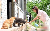 타이항산 깊은 산속 ‘고양이촌’, 각지서 사람 몰려