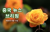 [중국 뉴스 브리핑] 2026년 6월 11일