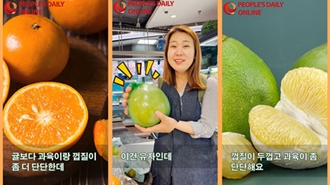 [호기심 천국 중국|특별 미식 리스트] 슈퍼에 가면 뭐가 있을까?  ⑤ 중국은 귤 종류가 이렇게나 많다고!?