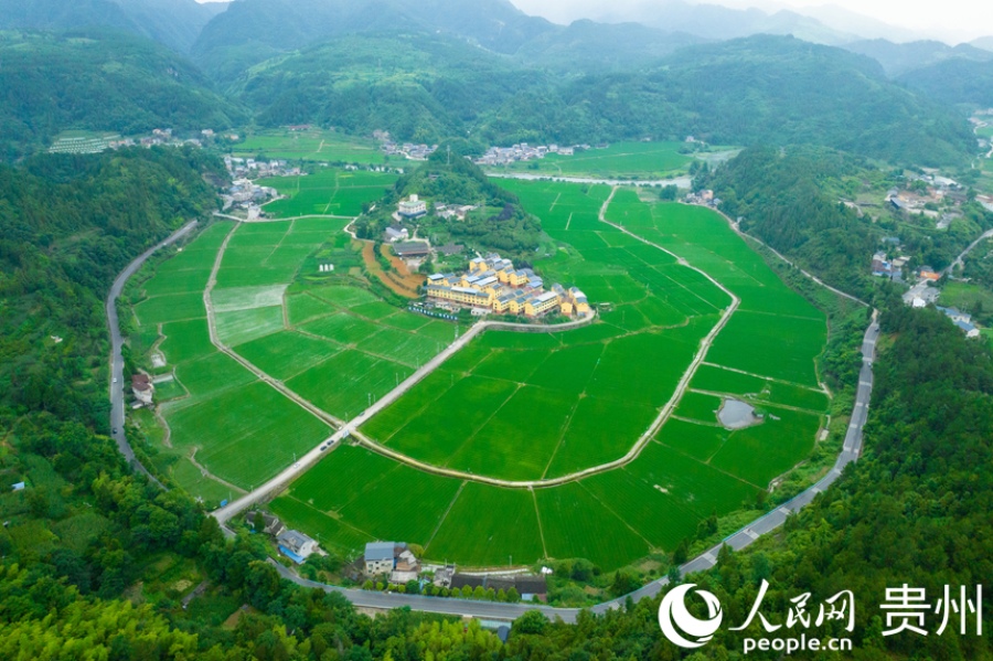 구이저우 첸궁의 푸른 논밭을 항공 촬영한 모습
