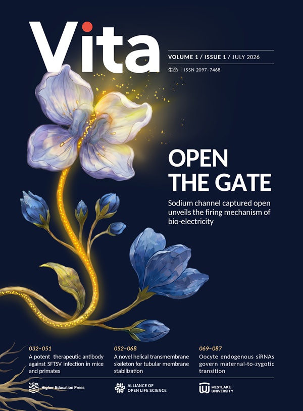 [사진 출처: ‘Vita’ 웹사이트]