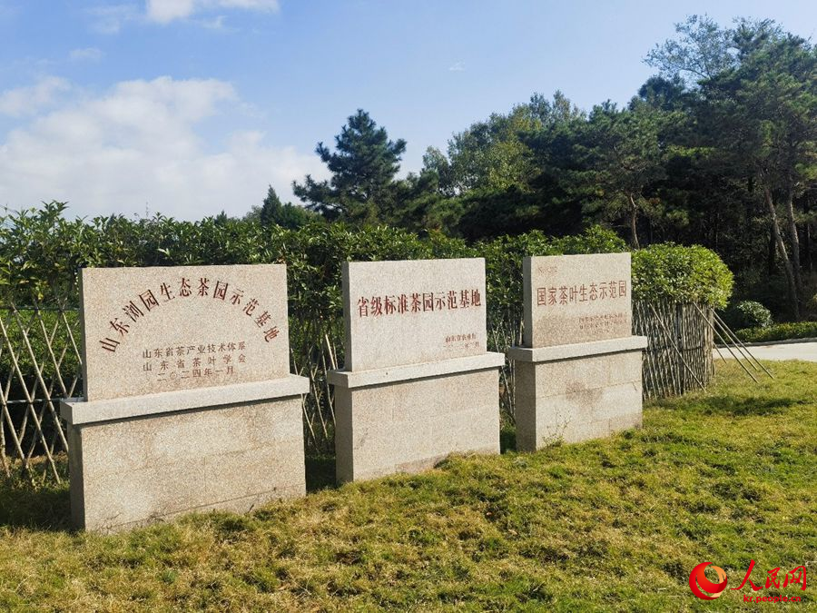 류위안춘 유기농 차원은 ‘국가 차잎 생태 시범원’ 등 다수의 영예를 획득했다.