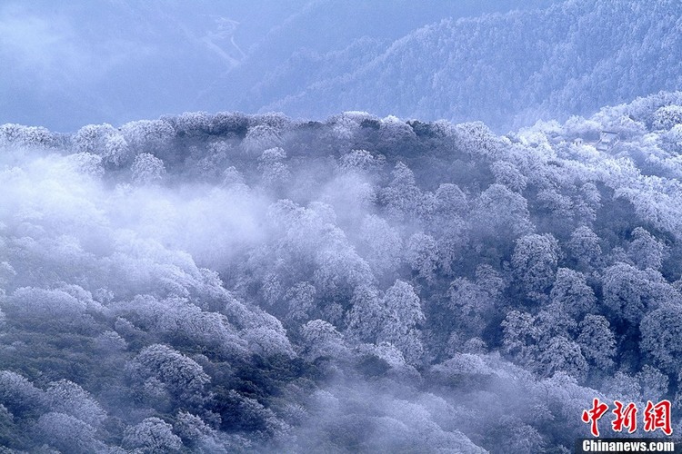 구이저우 판징산(梵淨山) 설경…세상 속 신선세계로