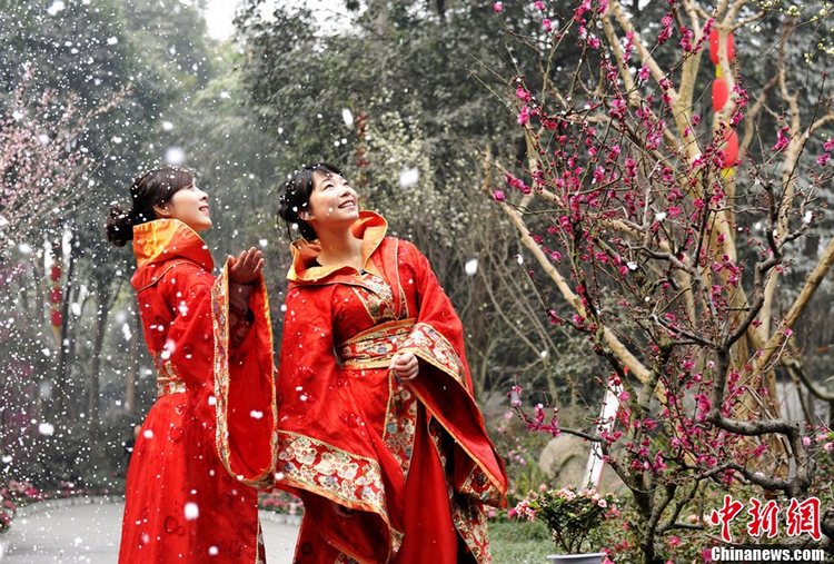 입춘 맞아 시민들 唐朝 전통의복 입고 매화 감상