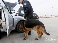 양회 경호업무에 ‘신발 신고’ 투입된 경찰견들