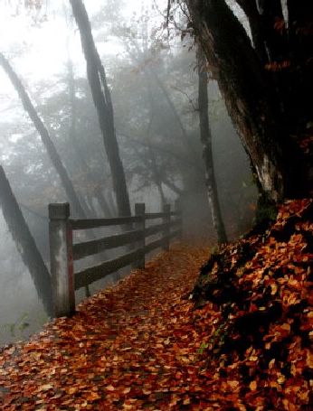 난궁산국가삼림공원(南宫山国家森林公园) (13)