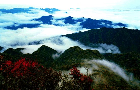 난궁산국가삼림공원(南宫山国家森林公园) (8)