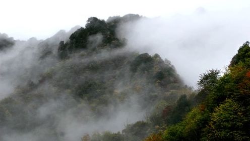 난궁산국가삼림공원(南宫山国家森林公园) (7)