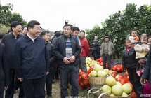 시진핑, 후난 빈곤지역 시찰…빈곤지원 위한 3가지 당부