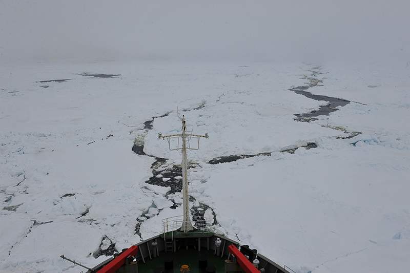 남극탐사선 ‘쉐룽’호, 14시간 사투 끝에 얼음지역 벗어나 (2)