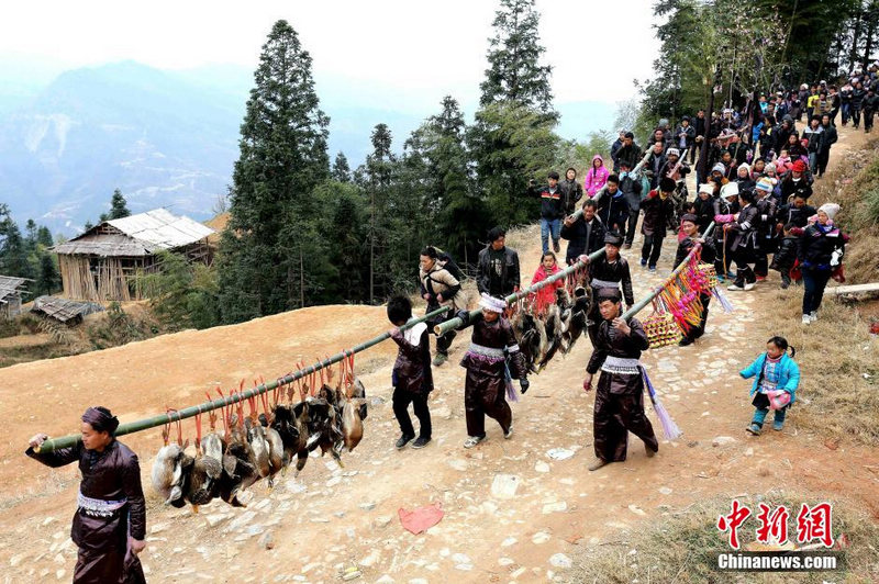 구이저우 묘족 마을의 ‘상사절’ 함께 체험하기 (5)