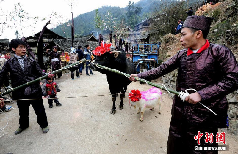 구이저우 묘족 마을의 ‘상사절’ 함께 체험하기 (2)