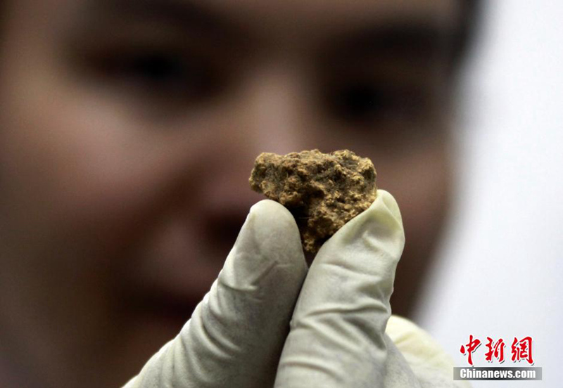 신장(新疆)서 3600년前 최초의 치즈 발견돼