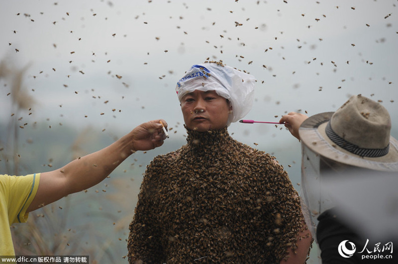 충칭 남성, 46만 마리의 꿀벌로 제작한 ‘벌옷’ 도전 (3)