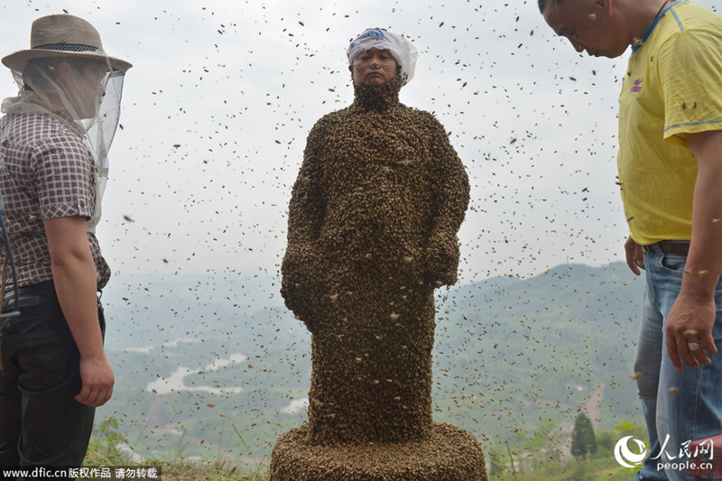 충칭 남성, 46만 마리의 꿀벌로 제작한 ‘벌옷’ 도전