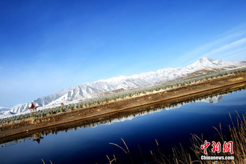 간쑤에 내린 4월의 눈, 봄의 대지 은빛으로 물들어 (2)