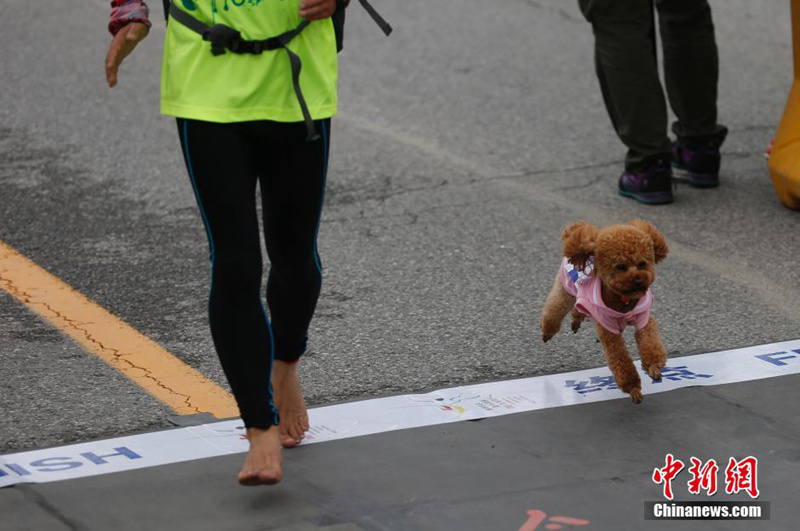 양저우 국제하프마라톤대회 개최, 이색복장 참가자 화제 (5)