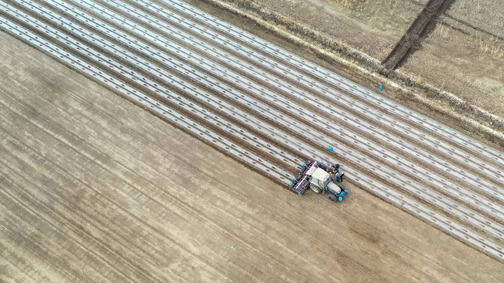 신장 카스(喀什) 지역 바추현 농민들이 기계로 파종 작업 중이다. [3월 28일 드론 촬영/사진 출처: 신화사]