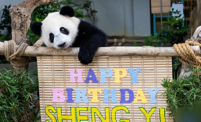 370704 63702555--peoples daily online