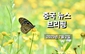 [중국 뉴스 브리핑] 2025년 7월 2일