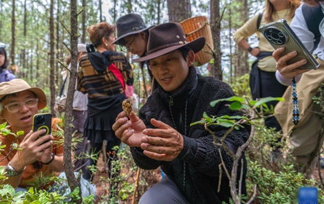 윈난 짱족 마을의 ‘송이버섯 사냥꾼’