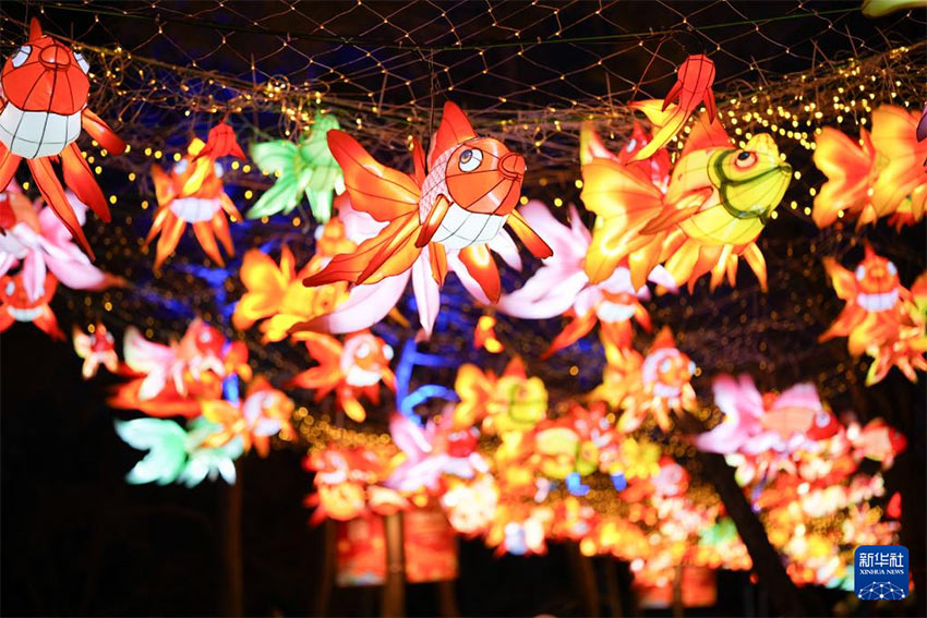 2026 위안밍위안 춘제 등불 축제에서 선보인 등 조형물 [2월 10일 촬영/사진 출처: 신화사] 