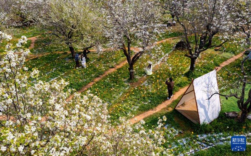 드론으로 내려다본 쿤밍 밍화구에서 시민들이 봄꽃 나들이를 즐기고 있다. [3월 10일 촬영/사진 출처: 신화사]