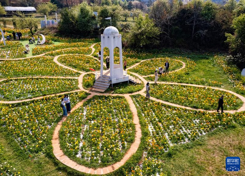 드론에 담긴 쿤밍 밍화구의 봄 풍경. 형형색색의 꽃물결이 장관을 이루고 있다. [3월 10일 촬영/사진 출처: 신화사]