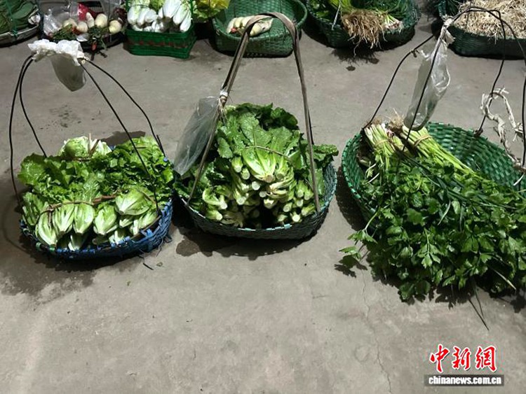 가지런히 진열된 채소들 [3월 10일 촬영/사진 촬영: 천옌유]