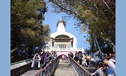 [포토] 中 베이하이공원에 찾아온 봄, 도심 속 그림 같은 풍경