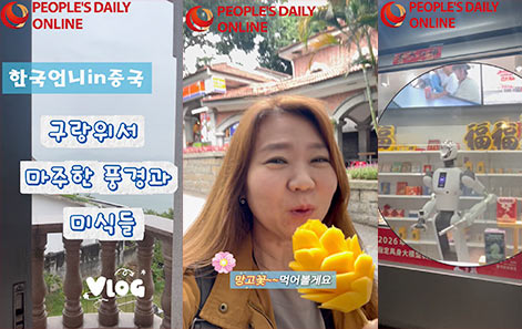 [한국 언니 in 중국] 샤먼 구랑위 편, 피아노의 섬에서 만난 풍경과 미식